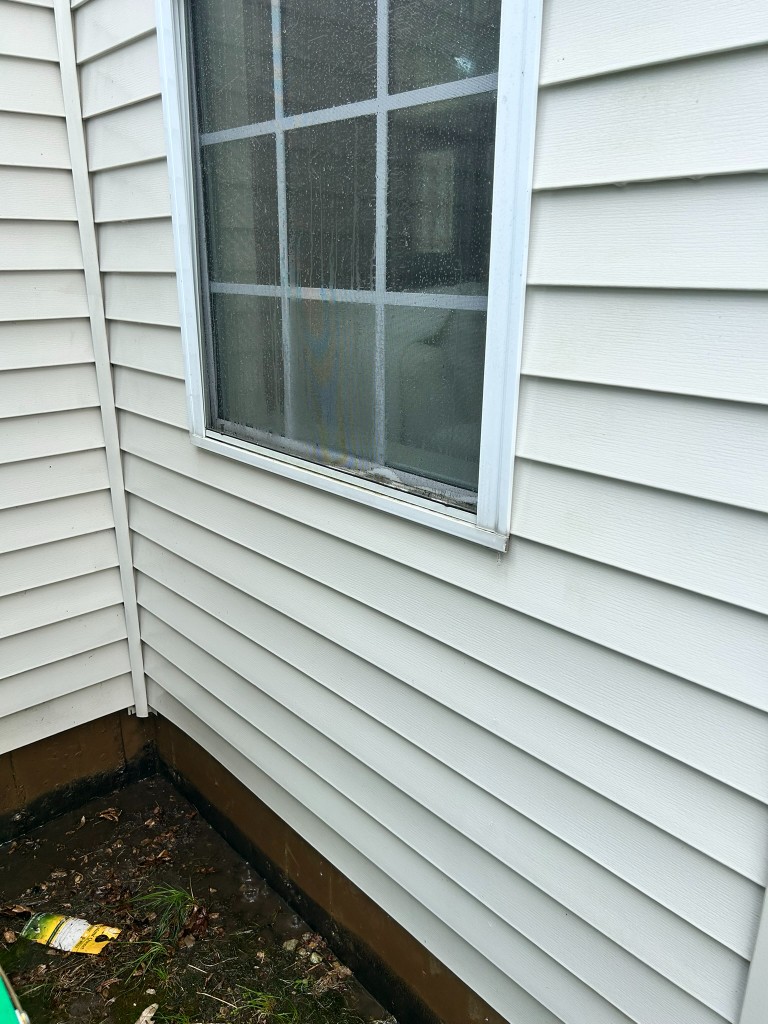 Same siding and exterior after cleaning — clean, restored finish