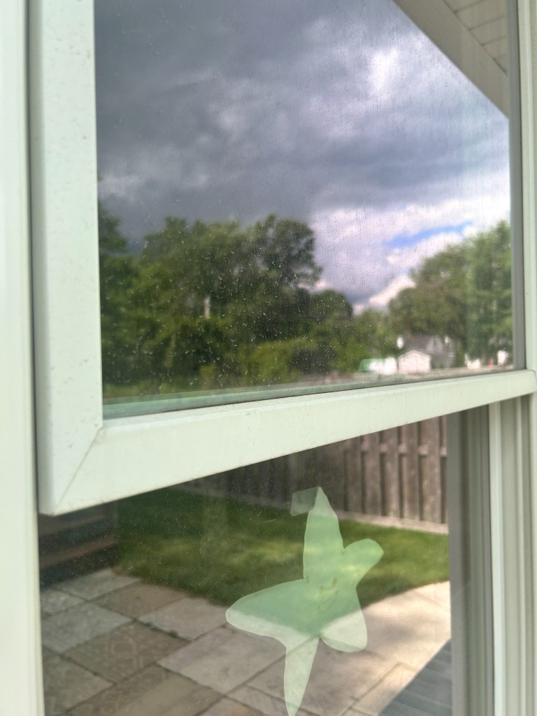 Double-hung window with dirty glass before cleaning