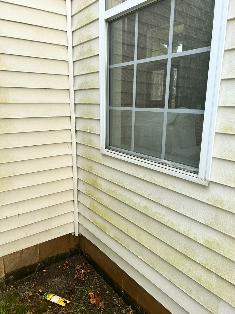 Dirty siding and corner with algae and staining before cleaning